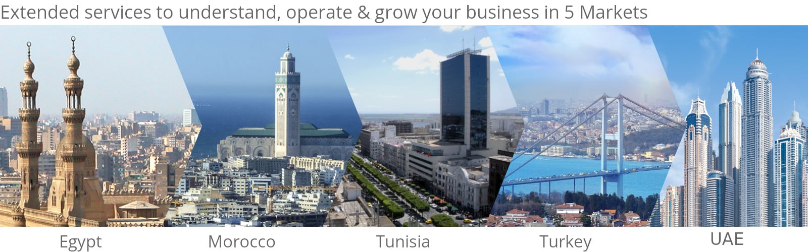 FMC Group Banner Extended Services